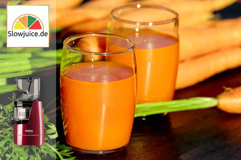 Wiederentdeckung der Langsamkeit Zebra Slow Juicer - WirEssenGesund