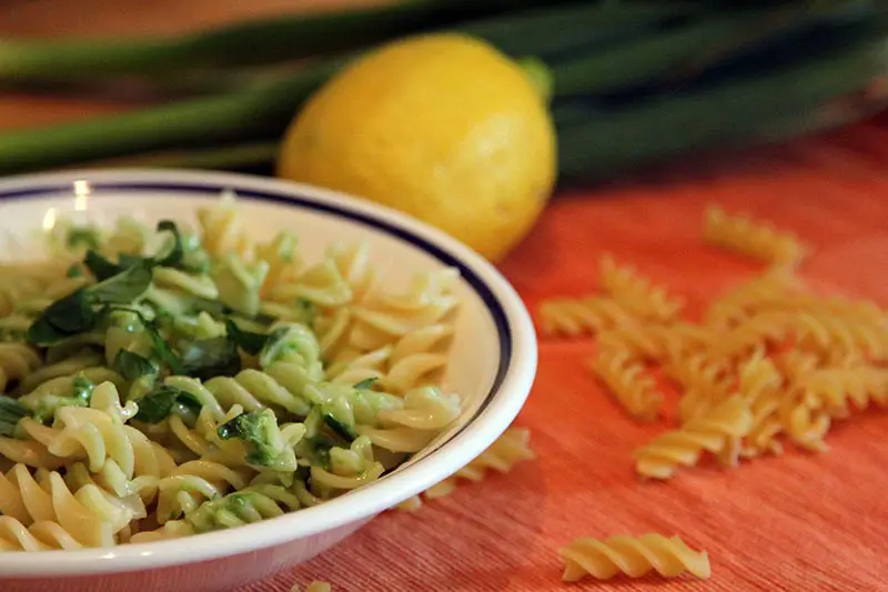 Rezept Frühlingszwiebel Pesto