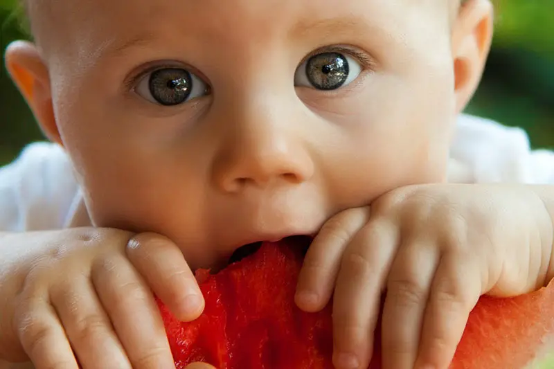 Kinder von gesunder Ernährung überzeugen leicht gemacht