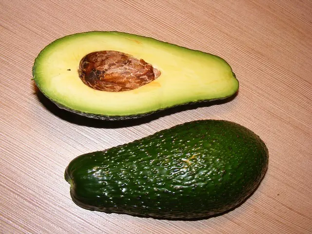 Avocado Gehirn Nerven