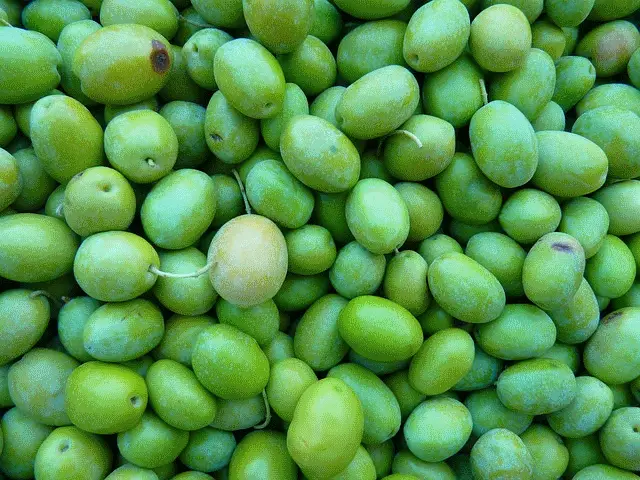 Oliven gruen
