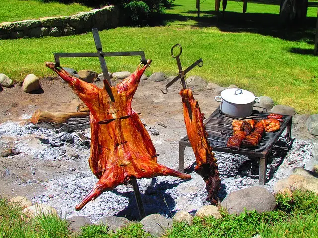 DOKU-TIPP Nie wieder Fleisch