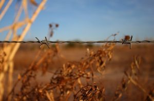 Jeder vierte Lebensmittelbetrieb wird beanstandet