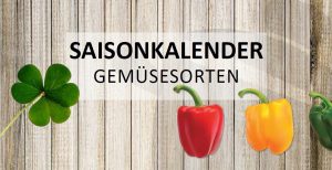 Saisonkalender Gemuese