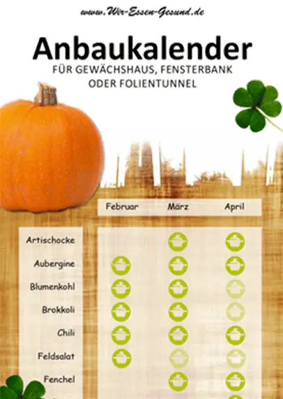 Anbaukalender für Gewächshaus & Indoor (Infografik)