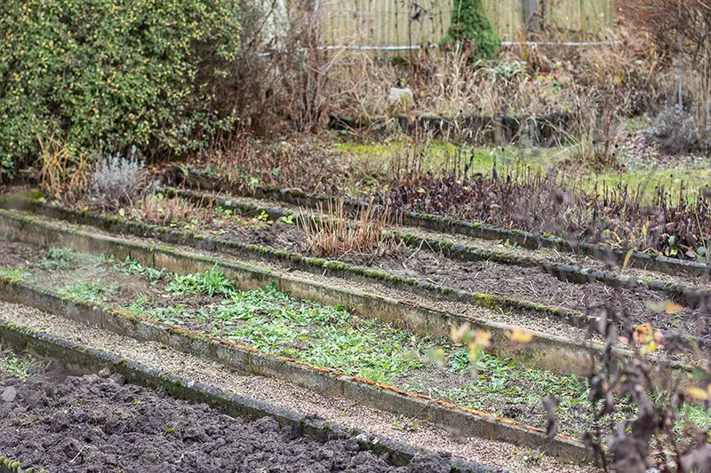 Garten Hochbeet