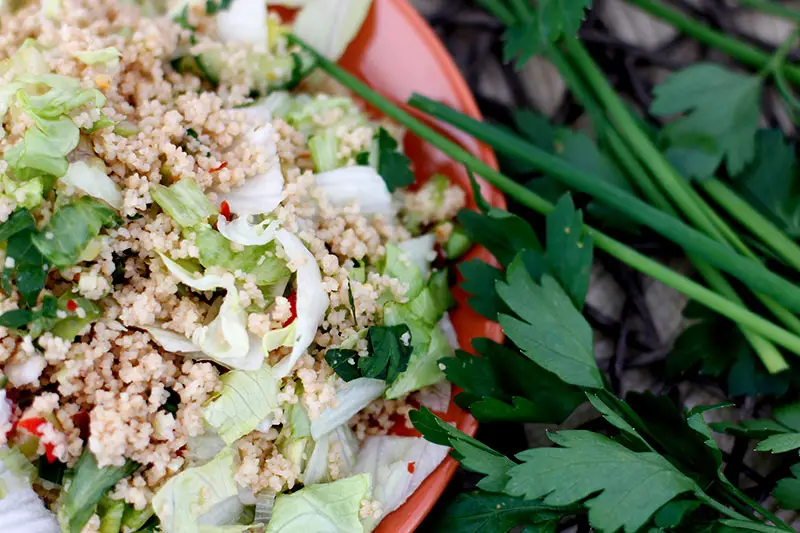 Pikanter Couscous-Eisbergsalat (vegan Grillen)