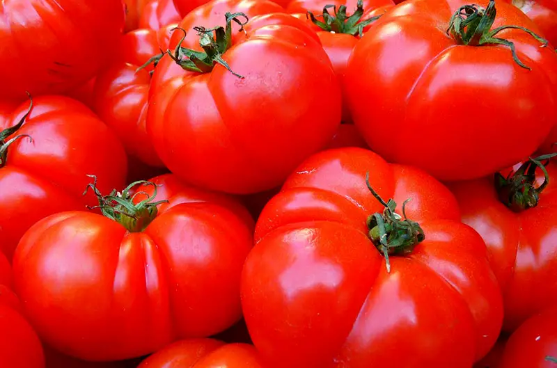 Wegen Lykopin Tomaten immer mit Schale kochen