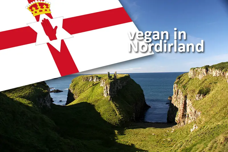 Als Veganer in Nordirland reisen
