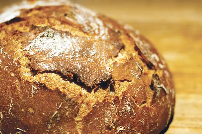 Dinkel ist ein bereits wieder häufig genutztes Urgetreide. Vor allem zum Brot backen wird es regelmäßig verwendet.