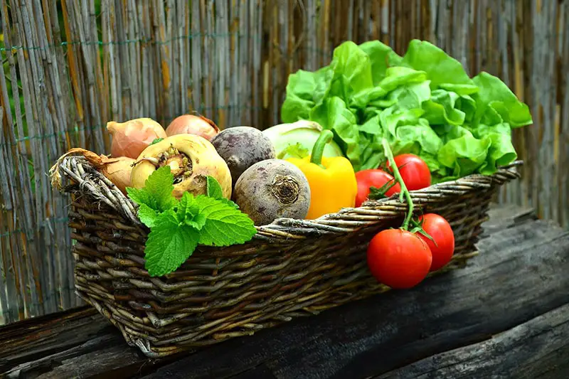 Wer seinen Stoffwechsel ankurbeln möchte, der sollte darauf achten richtig zu essen