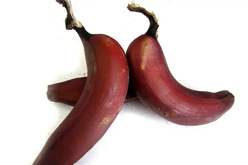 Rote Bananen
