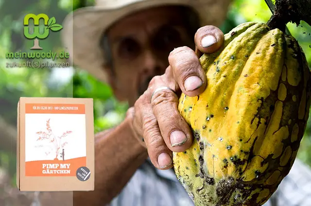 Veganer Bio-Dünger aus Kakao von MeinWoody