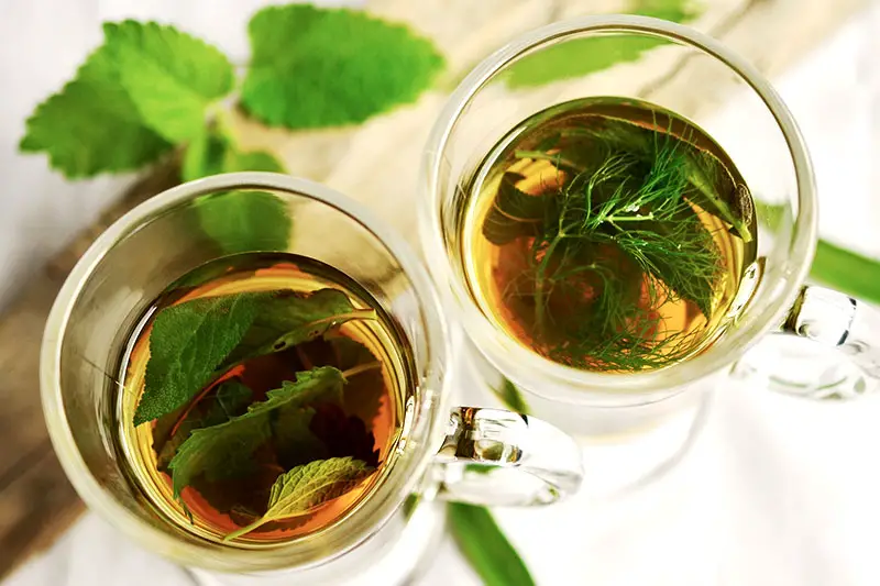 5 Grundregeln der Teezubereitung