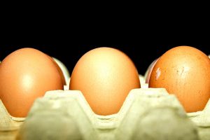 Harvard-Studie: Pflanzliches Eiweiß besser als tierisches