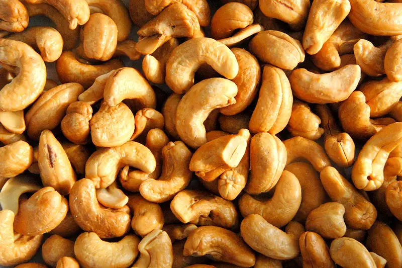 Insbesondere Cashew-Nüsse bilden eine wichtige Zutat in vielen veganen Rohkost-Rezepten