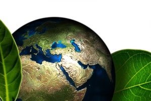 Erde, grün, Fairkäufer, Umweltschutz