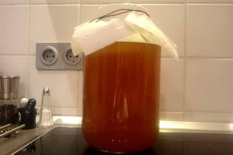 Kombucha selber machen erste Fermentation