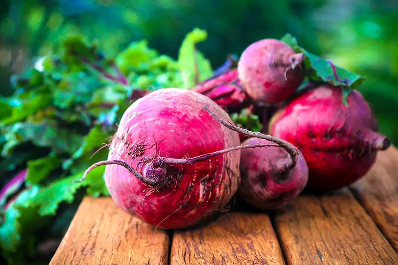 Rote Beete Wirkung Inhaltsstoffe Kapseln