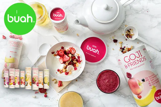 Buah Smoothies schnell infach