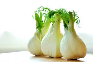 Fenchel anbauen ernten lagern