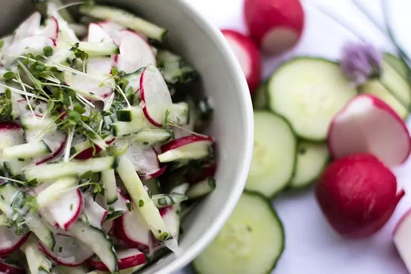 Gurken-Radieschen-Salat