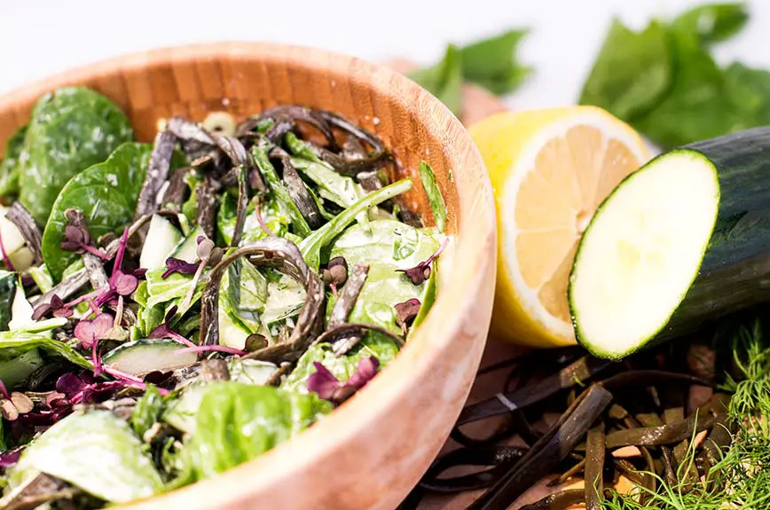 Gurkensalat Meeresspaghetti Rezept