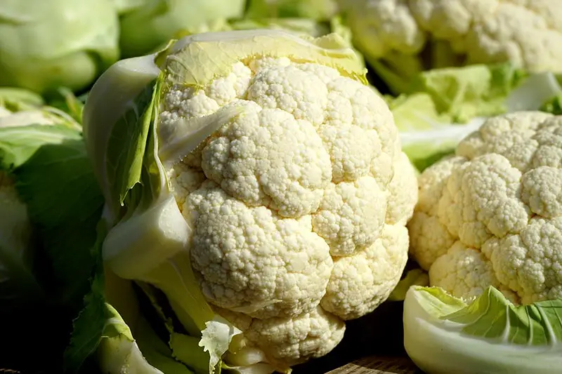 Blumenkohl kochen zubereiten