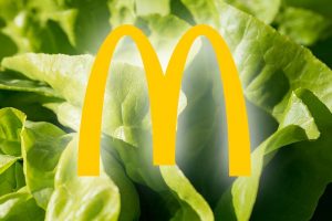 McVegan- McDonald's verkauft jetzt vegane Burger