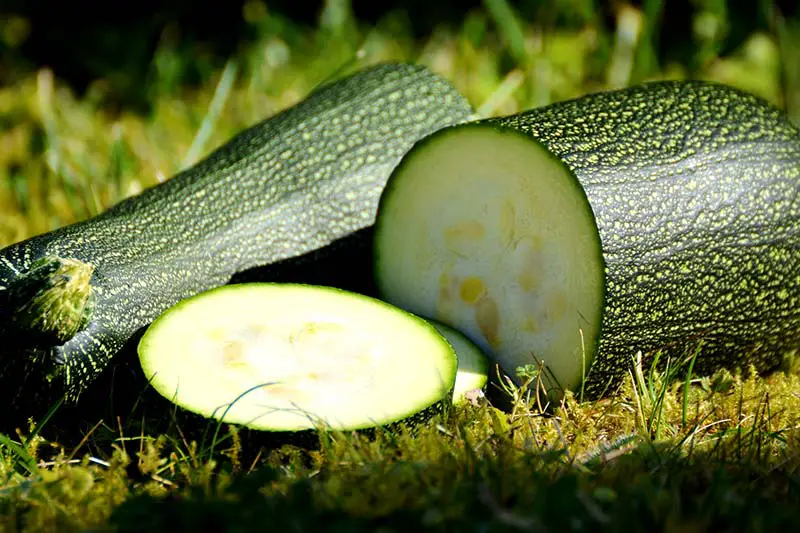 Zucchini roh essen