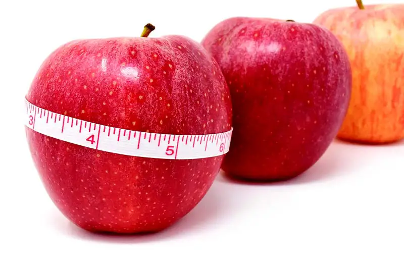 Wieviele Kalorien hat ein Apfel? - WirEssenGesund