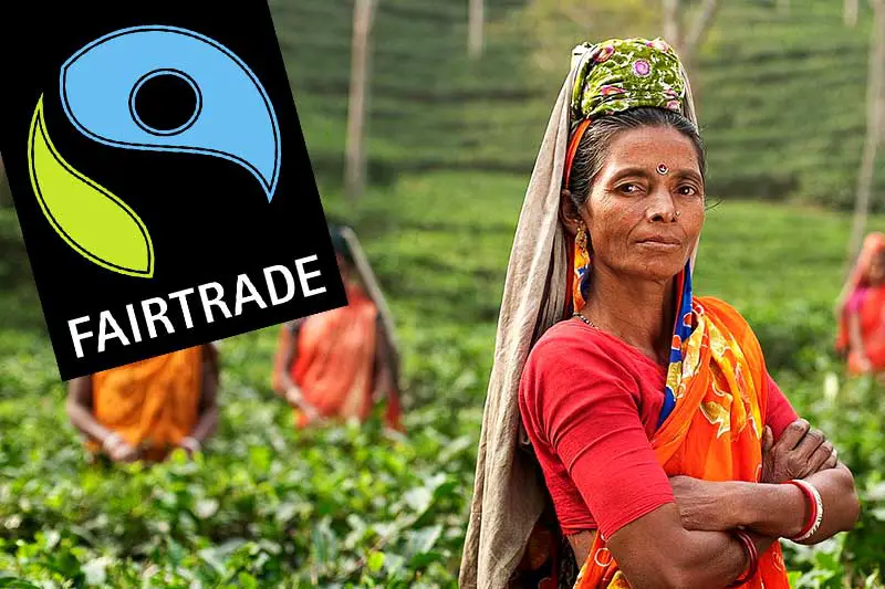 Fairtrade Tee