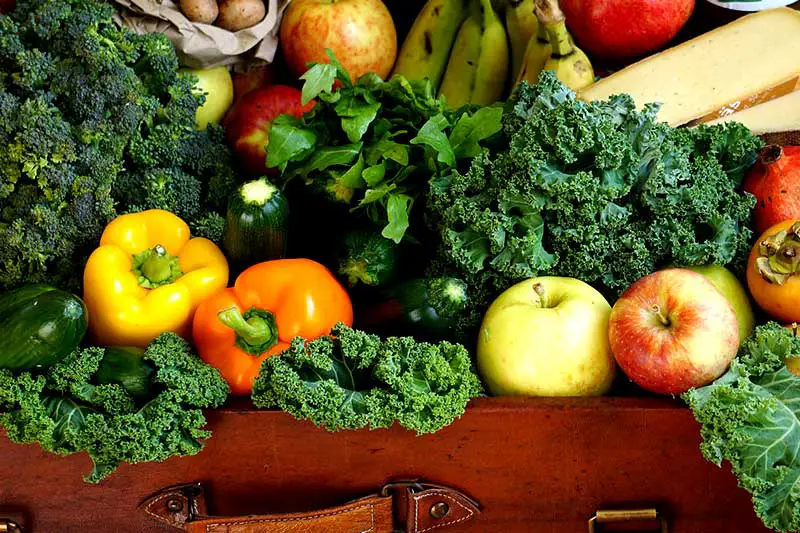Obst Gemüse gesund