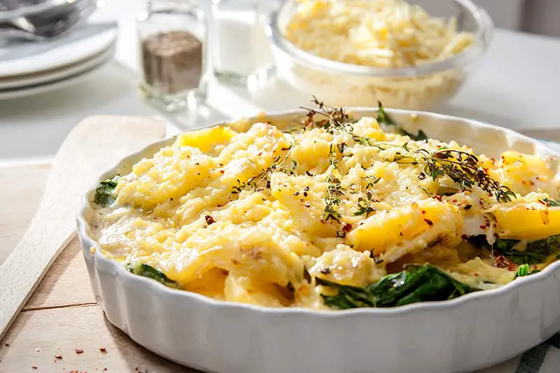 veganer Reibekäse Veggi Filata