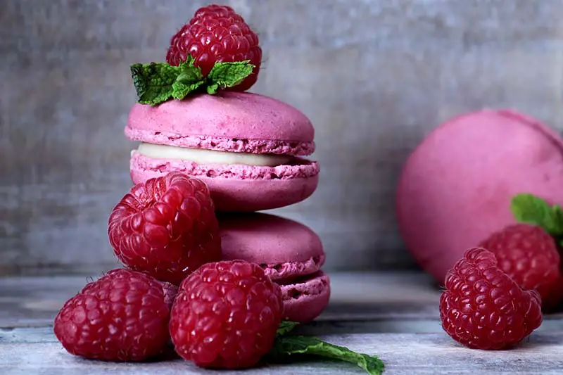 richtig nascchen macarons