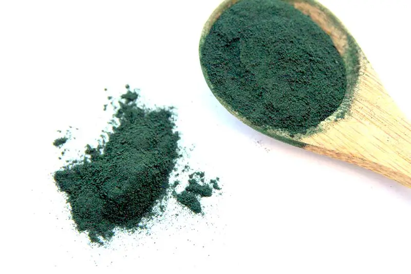 Spirulina Algen