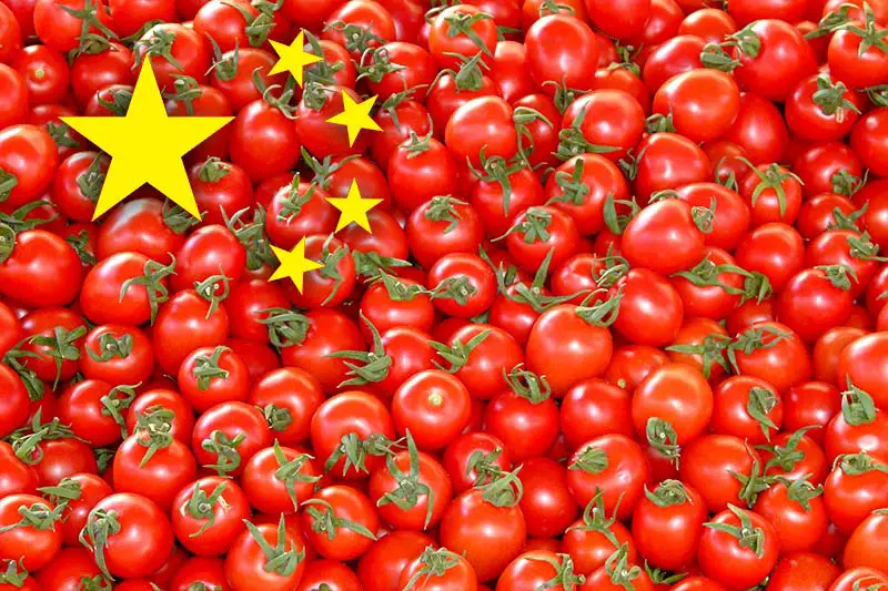 Betrug - Italienisches Tomatenmark stammt aus China