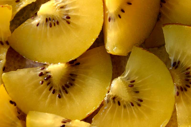 gelbe Kiwi Schale essen