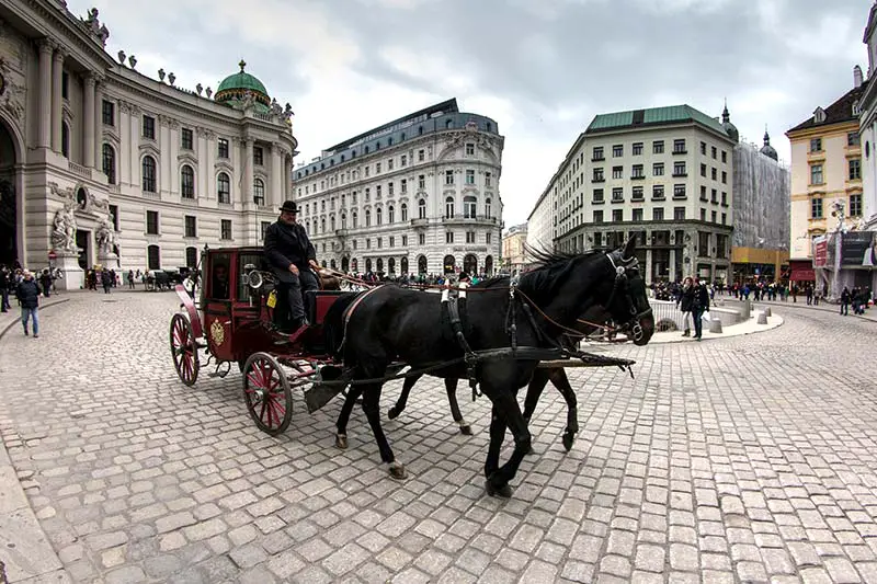 vegan Wien