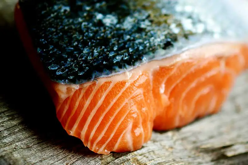 Lachs