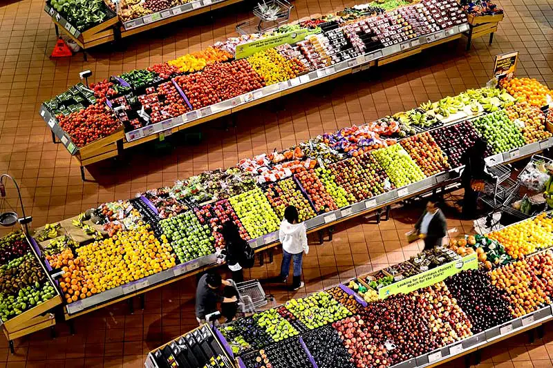 Öko-Institut Steuer vegane Produkte
