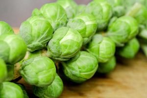 Rosenkohl Anbau säen pflanzen ernten