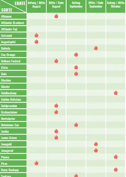 Erntekalender für Äpfel zum Ausdrucken (PDF)