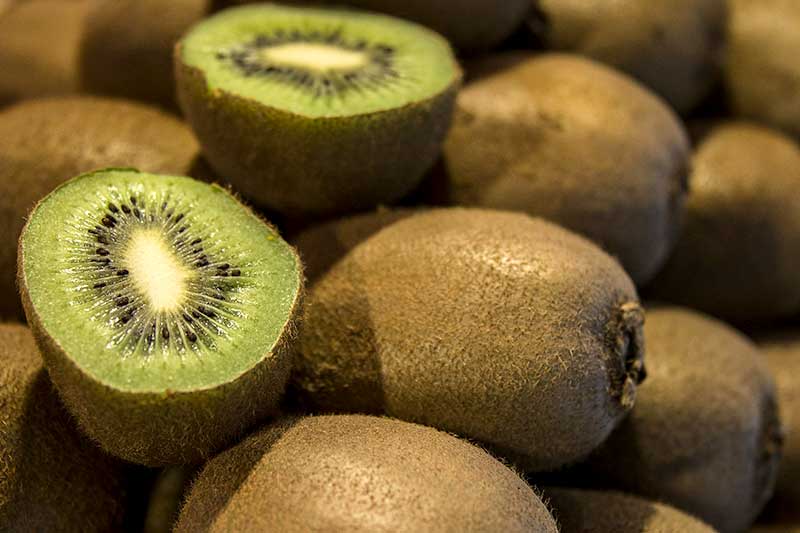 Kiwi ernten nachreifen lassen