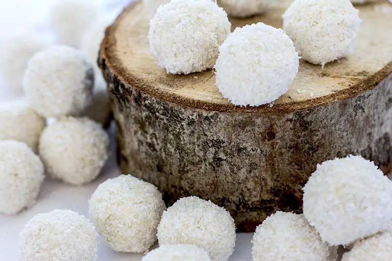 Kokos Schneebälle backen Rezept vegan