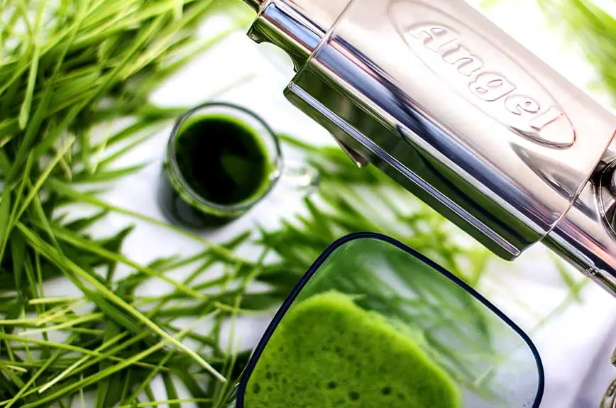 Angel Juicer Gerstengrassaft