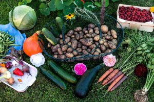 Fehler Gartenplanung