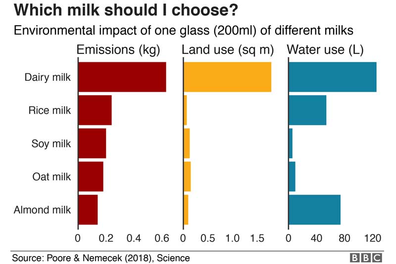 Studie BBC Milchersatz Umeltauswirkung