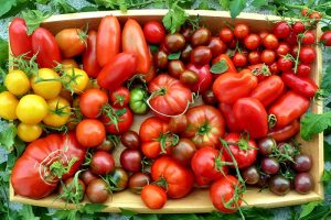 Tomatensorten Balkon Kübel Garten