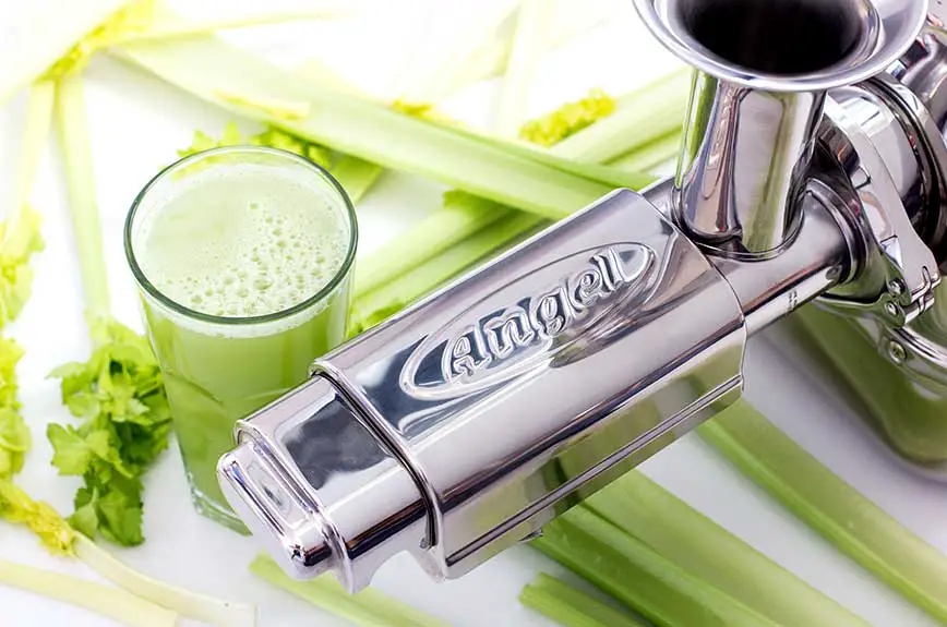 Selleriesaft Angel Juicer Empfehlung